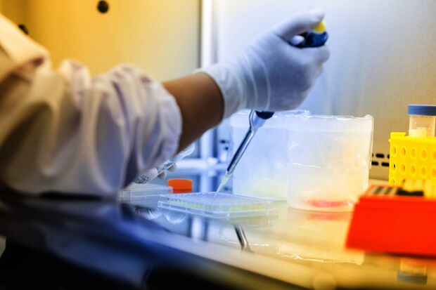 2.75 million for research on cancer immunotherapy