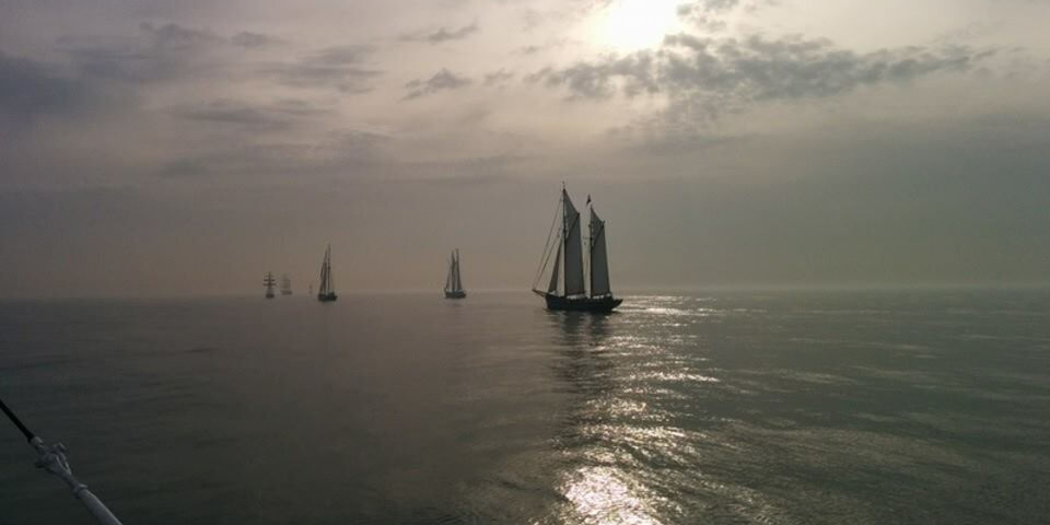 De Race in 2014.