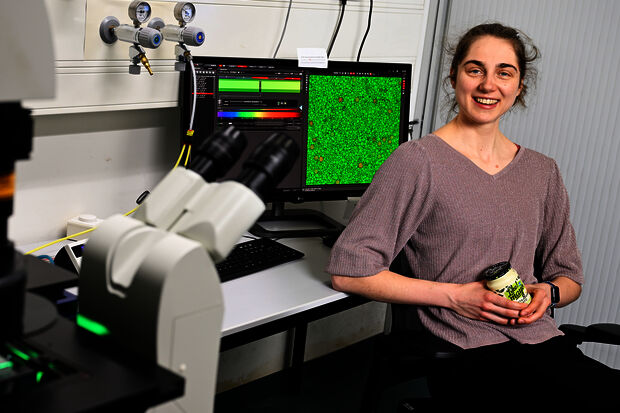 Sluitstuk | Eten onder de microscoop
