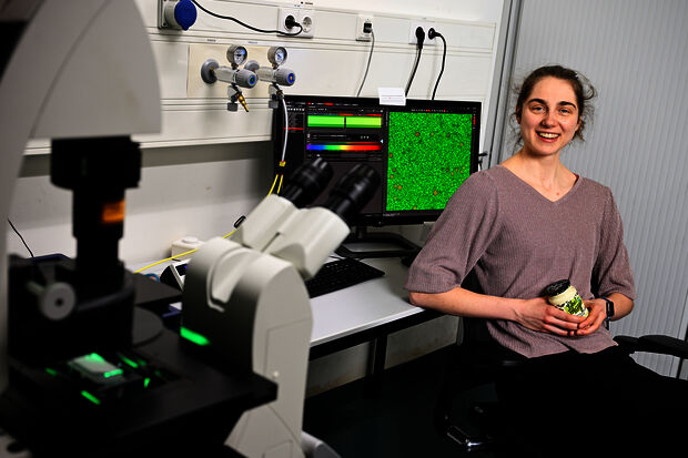 Home Stretch | Food under the microscope