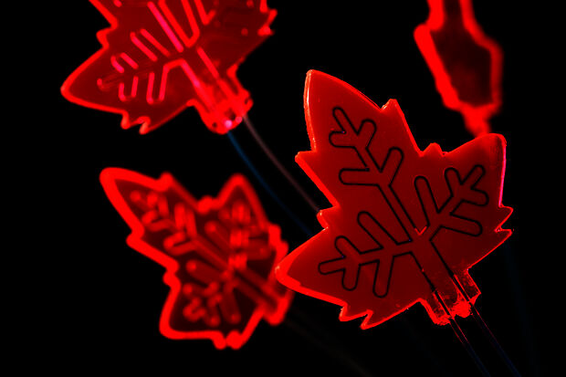 Artificial leaf as mini-factory for drugs