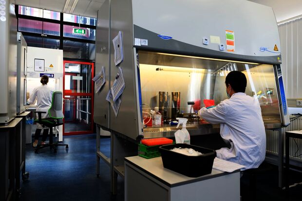 Dutch Research Council gauges opinions on talent grants
