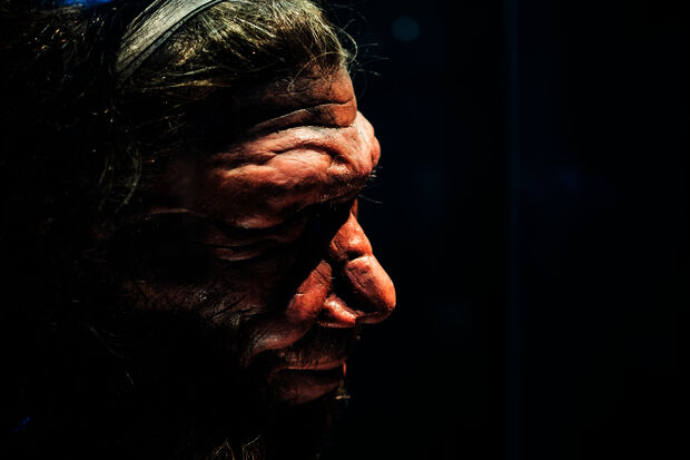 Neanderthals possibly responsible for their own extinction