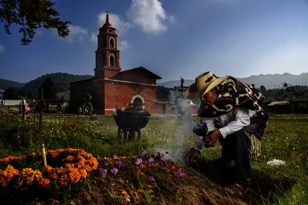 World Press Photo 2024: van oorlog tot vlinders