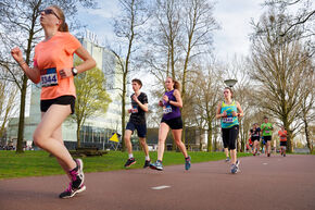 Dommelloop 2017. Foto | Bart van Overbeeke