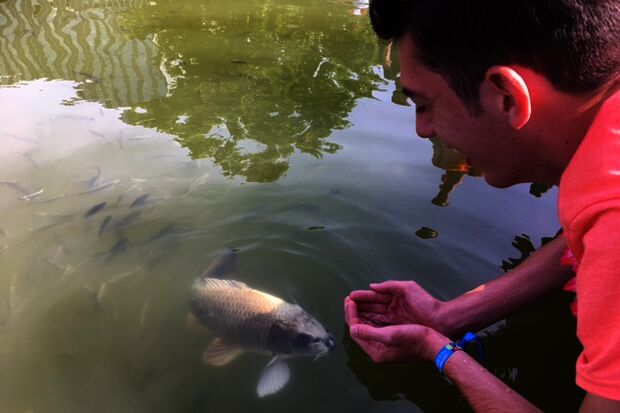 Intro '17 | The 'crazy' fish whisperer