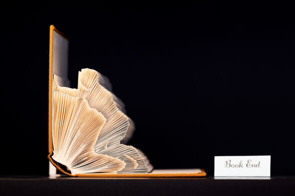 Book End by Anne Fey. Photo | Bart van Overbeeke