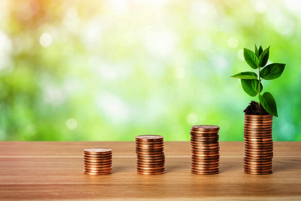 Scientists for Future urges to bank more sustainably