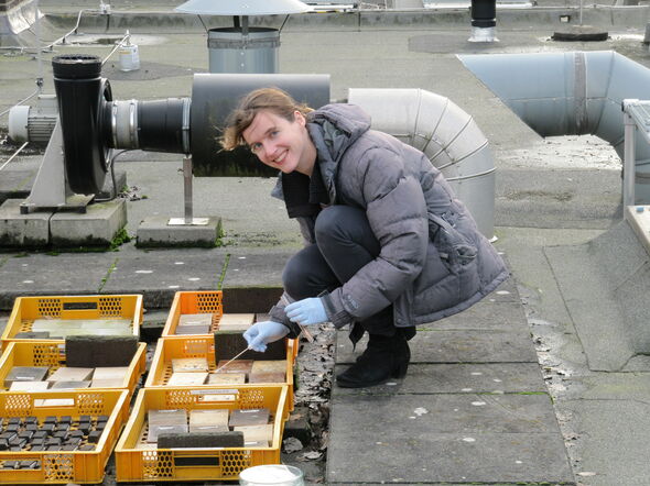 Elke van Nieuwenhuijzen working on an experiment. Photo | Martin Meijer