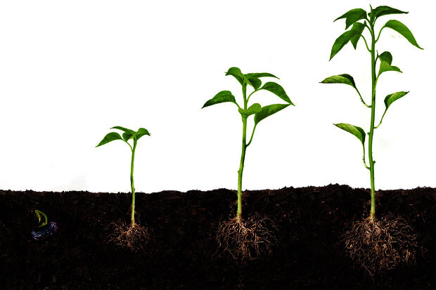‘Controlled growth’ of TU/e pre-enrollments