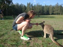 With a kangaroo! They are wild animals but see so many tourists every day that you can pet them. This was during the surf camp somewhere north of Sydney.