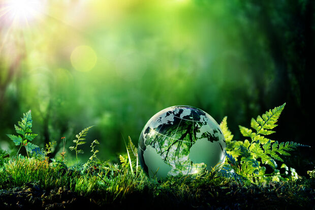 Sustainable inspiration during online Green Week