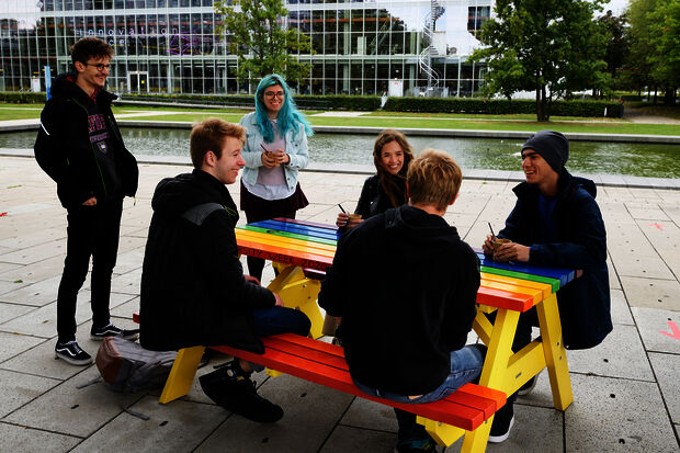 Executive Board offers alternative to rainbow crossway