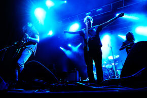 Go Back to the Zoo. Foto l Bart van Overbeeke