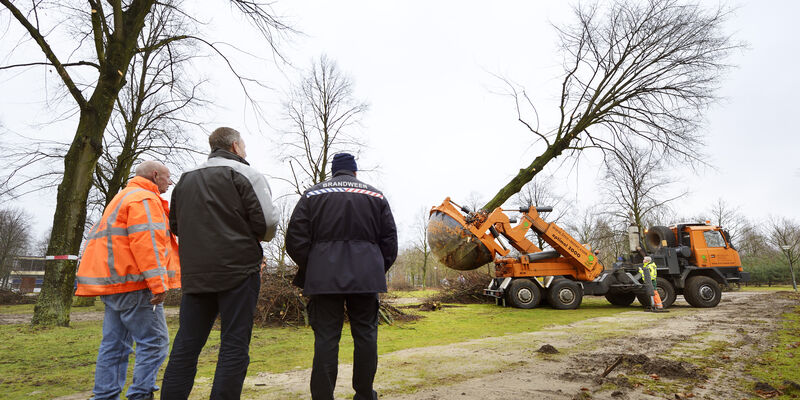 Foto | Bart van Overbeeke