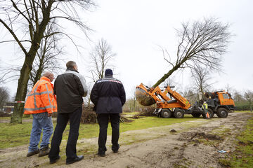 Foto | Bart van Overbeeke
