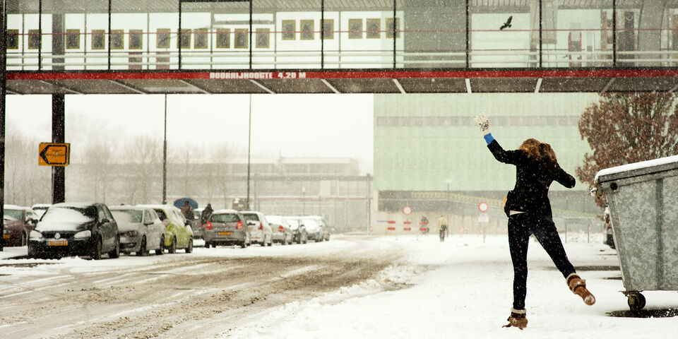 Foto | Bart van Overbeeke