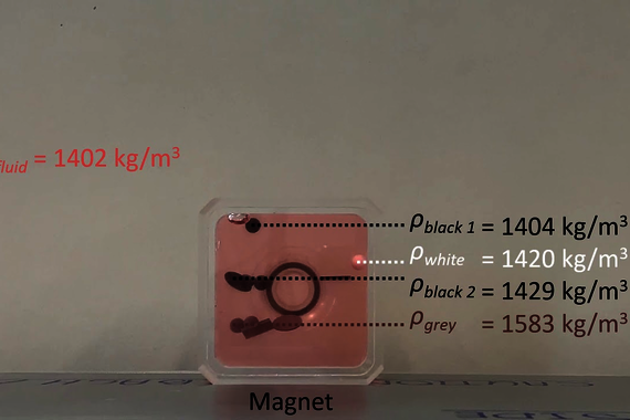 Example of magnetic particle separation at a small scale. Video | Rik Dellaert