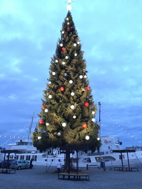 Marloes onder Zwedens grootste kerstboom in Stockholm.