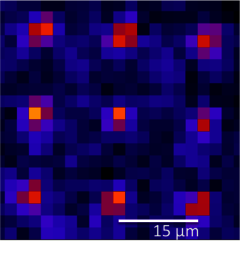 Negen ultrakoude rubidium atomen, vastgehouden in een optisch lichtrooster, vormen de basis voor de Eindhovense quantumcomputer. Afbeelding | Deon Janse van Rensburg (PhD student CQT)