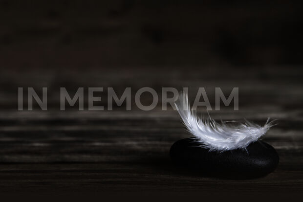 In Memoriam | Gerard Verhoogt