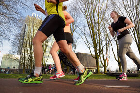 Dommelloop 2017. Foto | Bart van Overbeeke