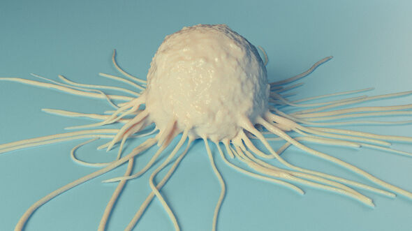 'Artist's impression' van een dendritische cel. Afbeelding | ICMS Animation Studio, TU/e