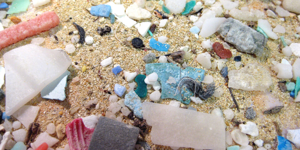 Microplastics. Photo | NOAA MDP