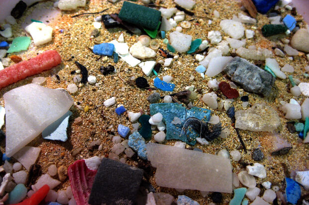 How do we remove plastic from the sea?