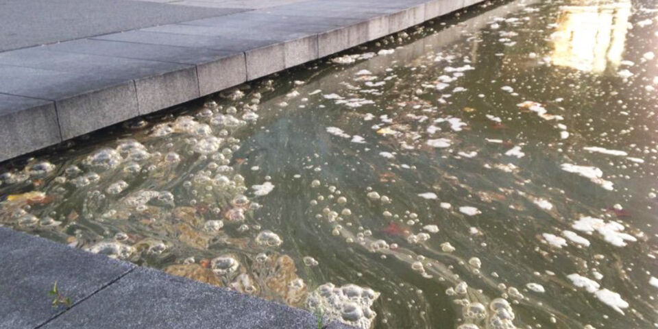 TU/e ververst snel water in algengroene vijver
