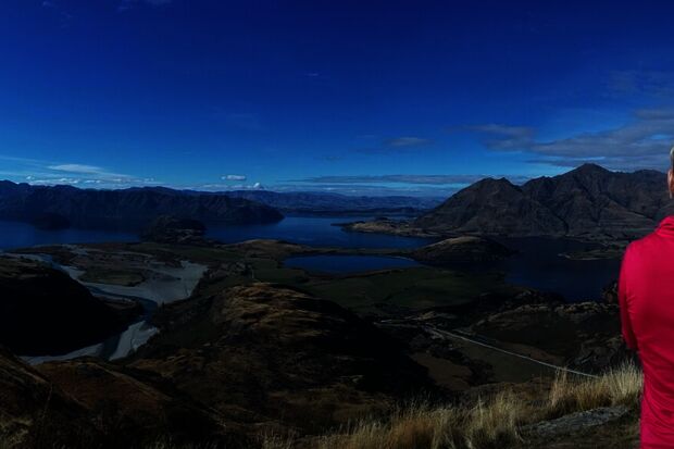 And how are things in Wellington?