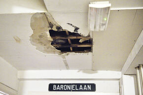 Foto | Bart van Overbeeke