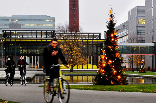 Wish baubles popular on student Christmas trees