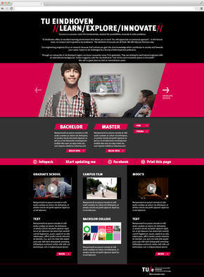 Example of website (not a final design)