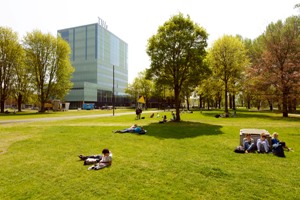 Foto | Bart van Overbeeke