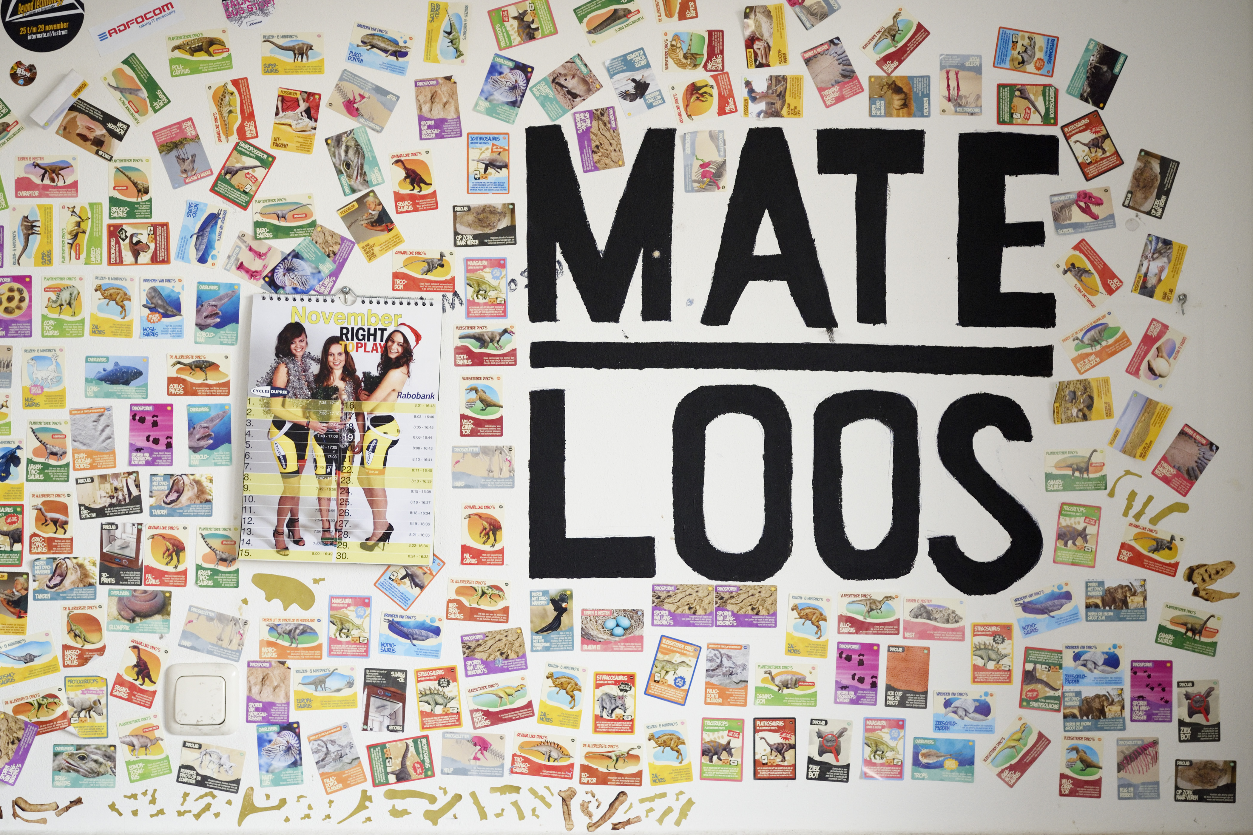 Foto | Bart van Overbeeke