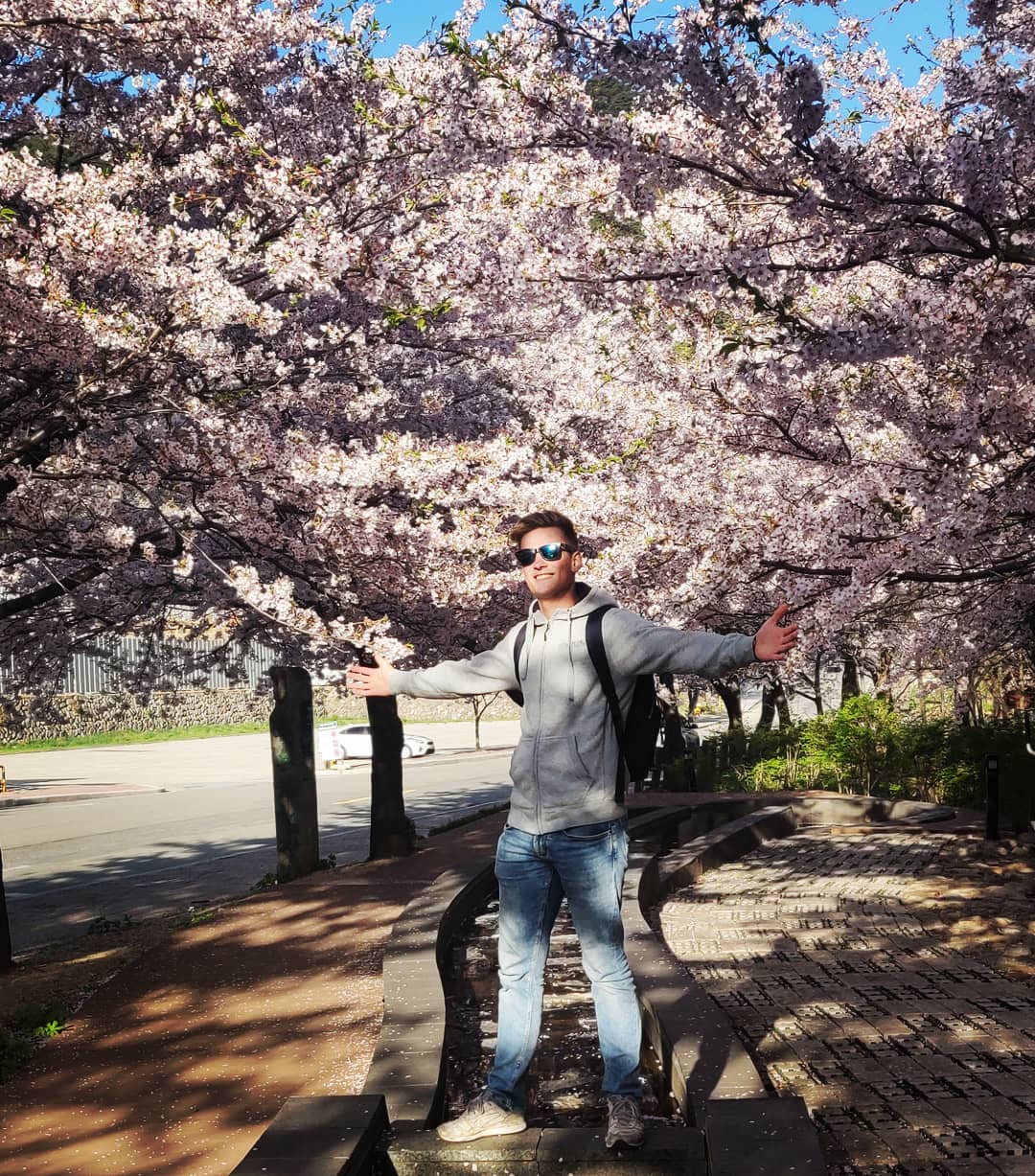 Cherry blossom-seizoen in Zuid-Korea. Foto | privéarchief Marthijn
